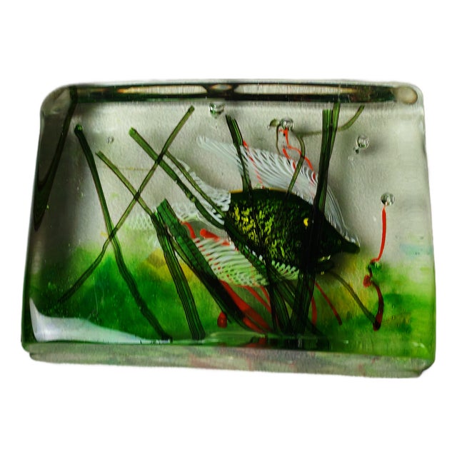 Vintage Aquarium in Murano Glass by Alfredo Barbini for Cenedese, 1960s For Sale