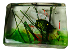 Vintage Aquarium in Murano Glass by Alfredo Barbini for Cenedese, 1960s