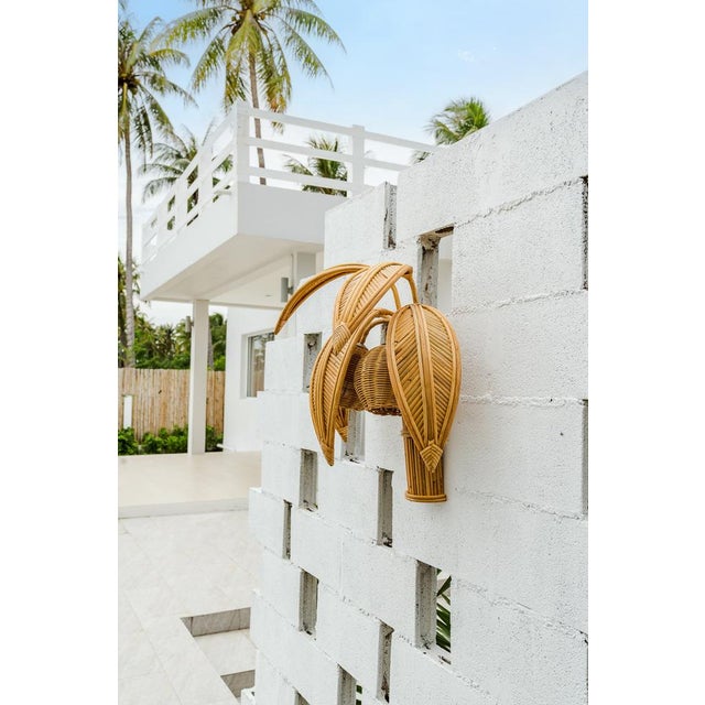 Light Yellow Rattan Coconut Wall Light, 1990s For Sale - Image 8 of 9