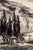 Carcassonne Citadel, France - Pastel Drawing by Charles Sumner Schneider Dramatic black and white pastel drawing of...
