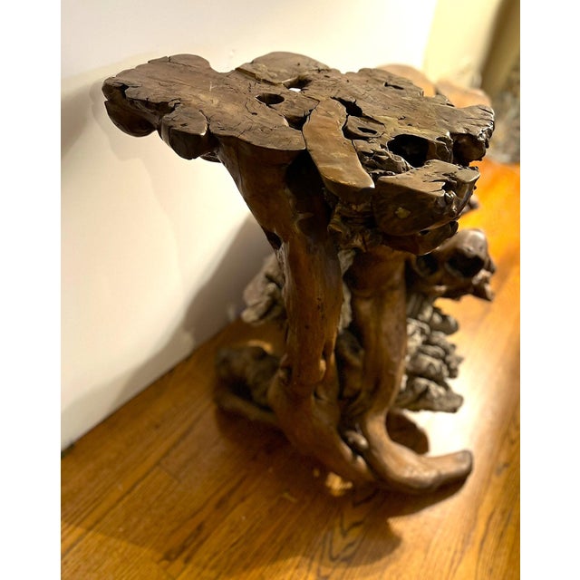Asian Large Root Plant Stand With Embedded Rocks For Sale - Image 3 of 12