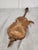 Late 19th Century Extraordinary Violin Antique Mirror For Sale - Image 5 of 10