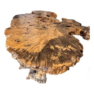 Handcrafted Burlwood Table - One of a Kind Statement Piece For Sale
