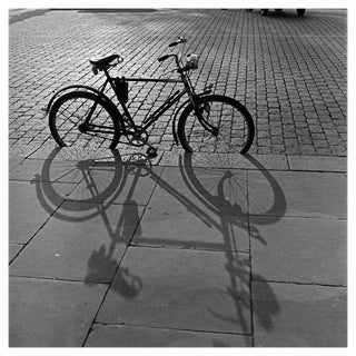 A Bicycle with its Shadow in the Autumn, 1930, Photographic Print For Sale