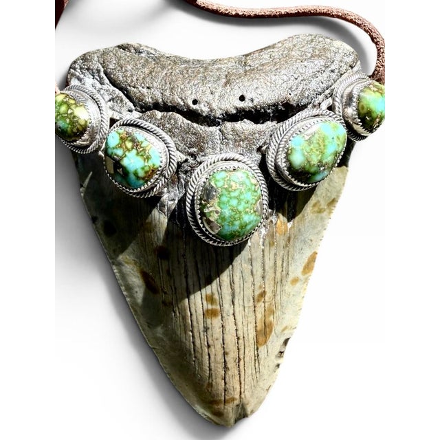 Roie Jaque Navajo Sterling Silver Turquoise Megalodon Tooth Pendant Necklace For Sale - Image 12 of 18