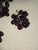 Four Antique Purple Glass Grape Clusters For Sale - Image 11 of 12