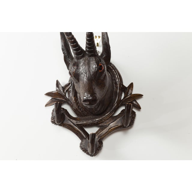 Brown Pair of Black Forest 1880s Carved Wooden Chamois Coat or Hat Racks with Foliage For Sale - Image 8 of 12