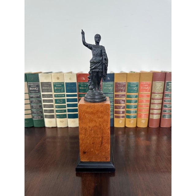Wood Century Bronze Augustus Statue For Sale - Image 7 of 8
