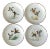 German Vintage Gilt Porcelain Pheasant / Wildlife Salad Plates - Set of 4 For Sale