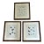 18th Century Butterfly Prints- Set of 3 For Sale