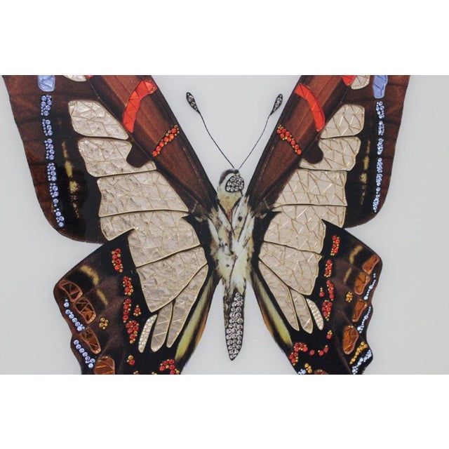 Michele Astolfi, Red Butterfly, 2000s, Mixed Media, Framed For Sale - Image 4 of 7