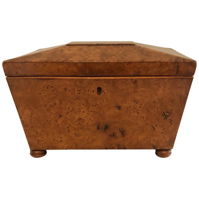 19th Century Sarcophagus Shaped Burr Elm Tea Caddy For Sale - Image 12 of 12