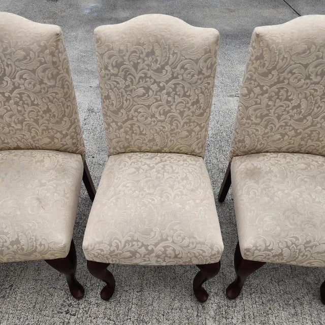 Beige Dm Queen Anne Dining Chairs by Bombay Company Set of 5 For Sale - Image 8 of 15