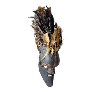Early 20th Century Salampasu Feathered Mask For Sale