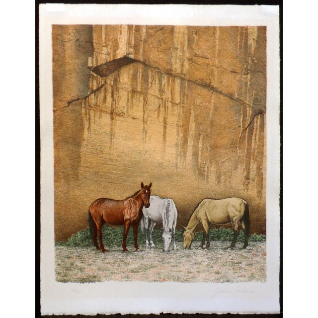 1980s "Canyon Horses" Realistic Lithograph Art Print by James Asher For Sale - Image 4 of 6