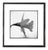 Paul Cooklin, Daffodil, Edition of 50 For Sale