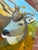 Paint “Buck Beauty” a Deer Painting by LWren Walraven For Sale - Image 7 of 12