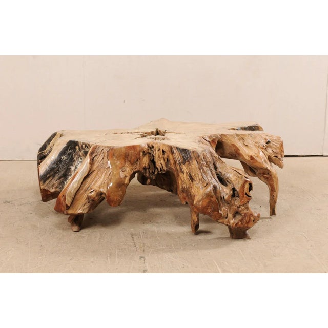 Tropical Teak Root Hardwood Coffee Table For Sale - Image 4 of 12