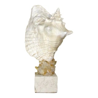 Seashell Sculpture “Seascape Symphony by Artist - Joseph Malekan For Sale