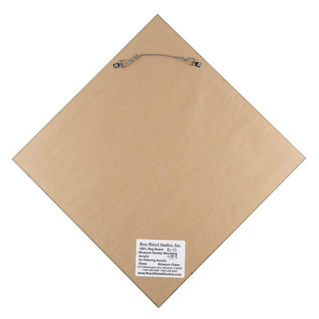 19th Century Victorian Decoupage Armorial Hatchment, 1800's For Sale - Image 5 of 5