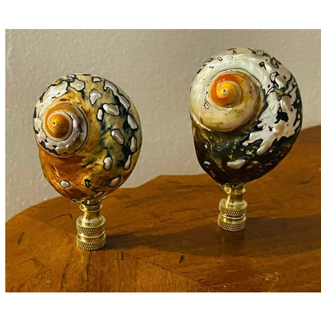 1970s Gorgeous Pair of Brien Turbo Shells Lamp Finials For Sale - Image 4 of 4