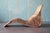 Karl Malmvall for Ikea "Karlskorna" Woven Rattan Chaise Lounge Chair C. 1990s For Sale - Image 4 of 12