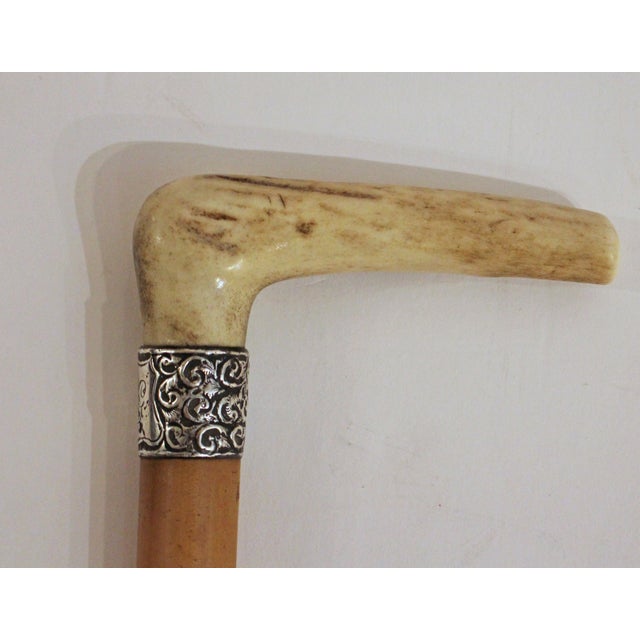 1876 Malacca, sterling & antler Walking Stick, English. 1876 sterling collar, Birmingham, by Henry Howell. Grip of...