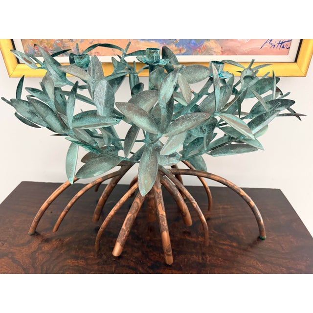 Triple Mangrove Candelabra For Sale - Image 11 of 11