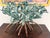 Triple Mangrove Candelabra For Sale - Image 11 of 11