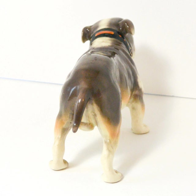 1940s 1940s Porcelain Bulldog Figurine Erphila Germany For Sale - Image 5 of 9