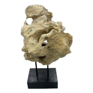 Indonesian Coral Stone On Teak Stand For Sale