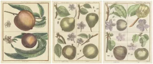 Poiteau and Turpin, Illustrations of Apples, Pears and Peaches, Engravings, 1820, Set of 3