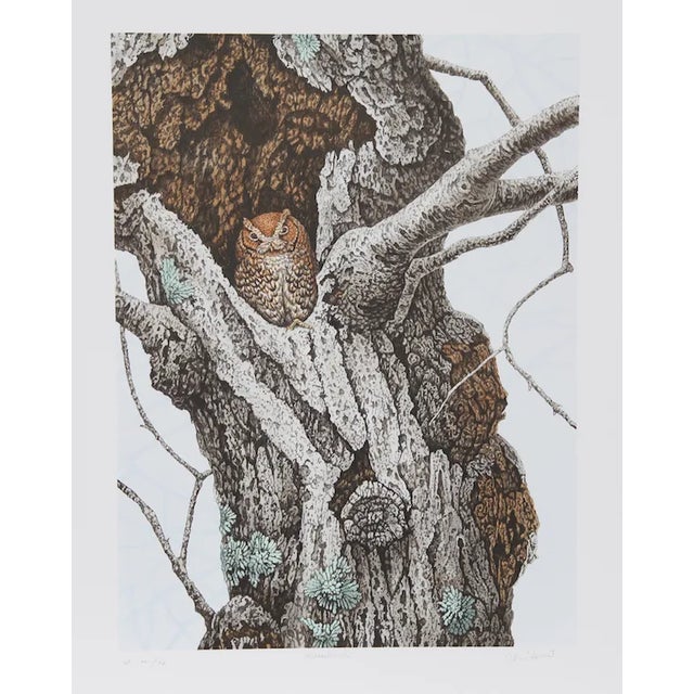 Chris Forrest, "Screech Owl," Lithograph For Sale