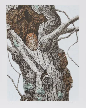 Chris Forrest, "Screech Owl," Lithograph