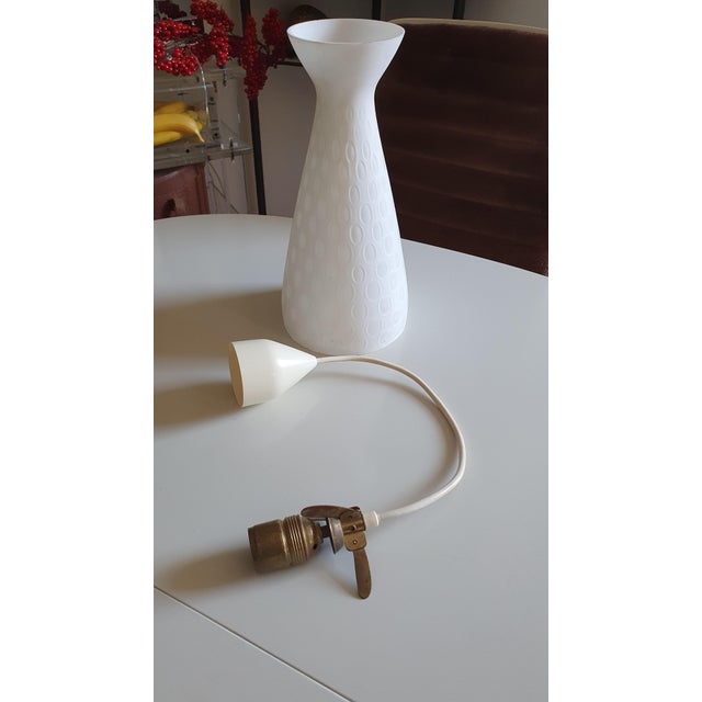 Ibiza Pendant Lamp by Aloys Gangkofner for Peill & Putzler, 1950s-1960s For Sale - Image 15 of 16