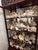 1900-1909 Great Seaworld Sea Shells Specimens Collection in Chinese Chinoiserie Rosewood Carved Vitrine For Sale - Image 4 of 14
