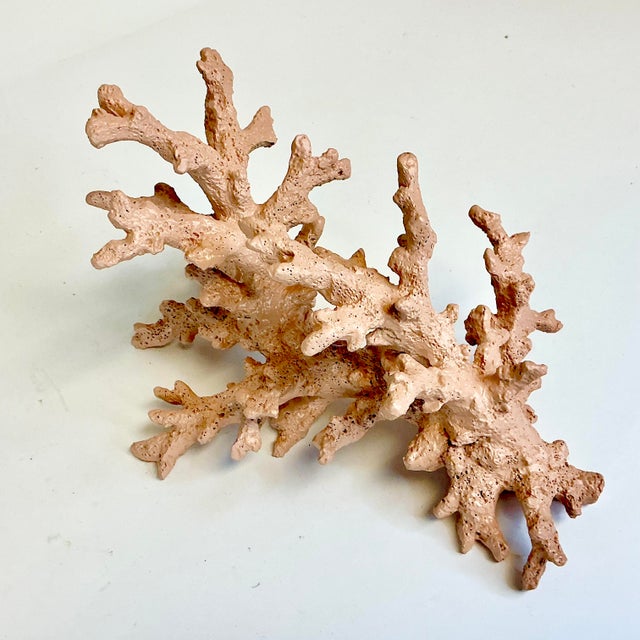 Mid-Century Coastal Boho Chic Faux Ocean Branch Coral Decorative Object For Sale - Image 11 of 12