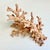 Mid-Century Coastal Boho Chic Faux Ocean Branch Coral Decorative Object For Sale - Image 11 of 12