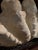 Faux Plaster Decorative Clam Shell For Sale - Image 10 of 12