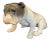 German Porcelain Figure of a Bulldog, Early 20th Century For Sale