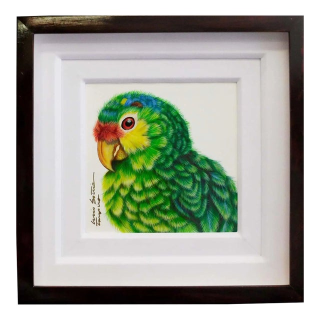 Luis Sottil "Amazona Frenti Roja Eggshell Series"14876 Hand Signed Green Bird For Sale