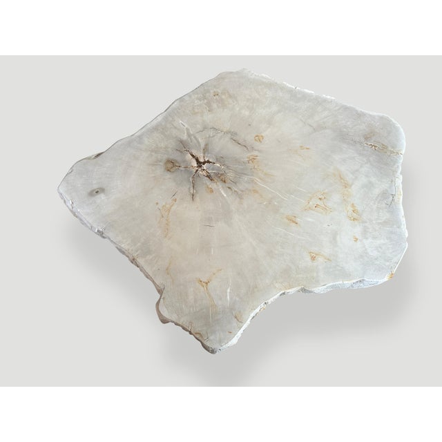 Andrianna Shamaris Minimalist Super Smooth Petrified Wood Tall Side Table For Sale - Image 4 of 5