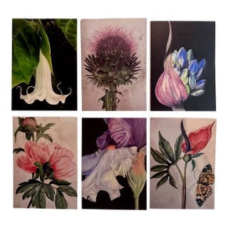 This Is a Set of 6 Botanical Folded Note Cards Printed From My Pastel Drawings of Plants and Flowers For Sale