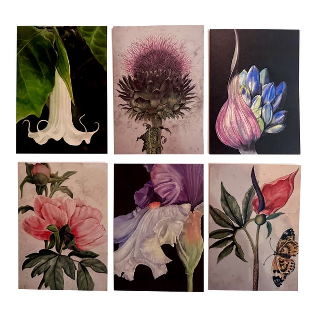 This Is a Set of 6 Botanical Folded Note Cards Printed From My Pastel Drawings of Plants and Flowers For Sale