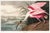 Roseate Spoonbill by John James Audubon, Vintage Art Print Reproduction, 48" × 32" For Sale
