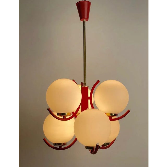 Pendant Lamp in Coral Color with 6 Mat Opaline Globes, 1970s For Sale - Image 12 of 16