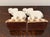 Ceramic Vintage Fitz & Floyd Ceramic Elephant Bookends / Figurines - A Pair For Sale - Image 7 of 10