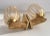 Art Deco 1960s Italian Murano Glass & Brass Art Deco Sconces - Pair For Sale - Image 3 of 7