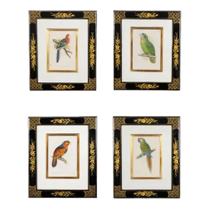 Mid 19th Century Parrot Engravings by Alexander Francis Lydon, Framed - Set of 4