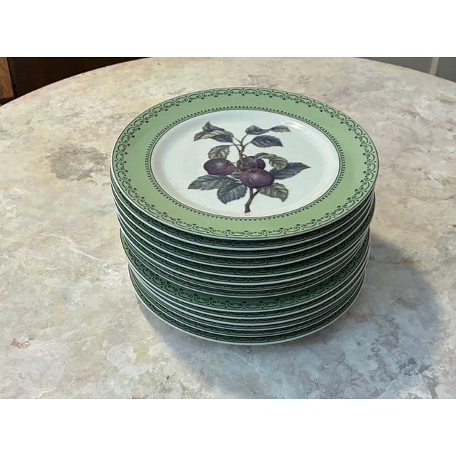 1980s Andrea by Sadek Winterthur Adaptation Botanical Dinner Plates – Set of 14 For Sale - Image 9 of 13